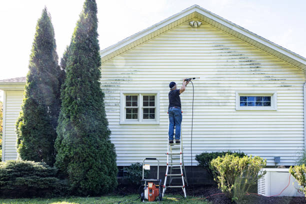 Encantada Ranchito El Calaboz, TX Pressure Washing Services Company